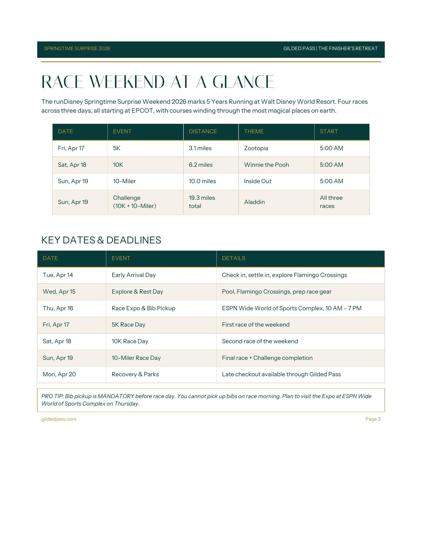 Playbook preview page 3